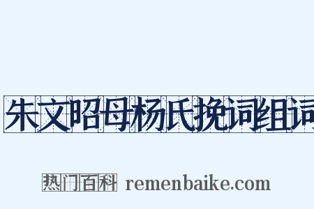 朱文昭母杨氏挽词组词是什么意思的图片